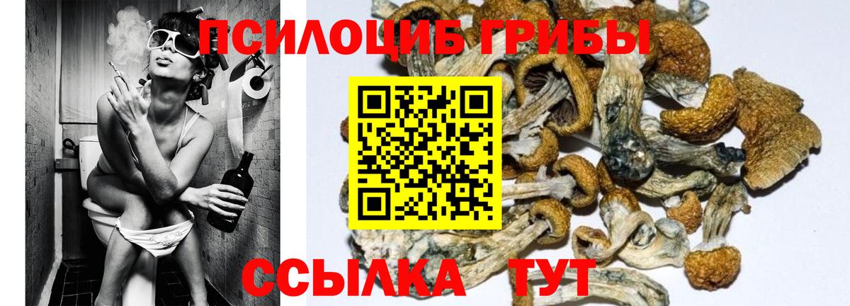 Псилоцибиновые грибы ЛСД Вышний Волочёк